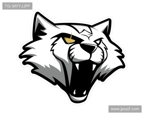 CSGO战术分析：深入探讨LNG战队的盯防策略与执行技巧