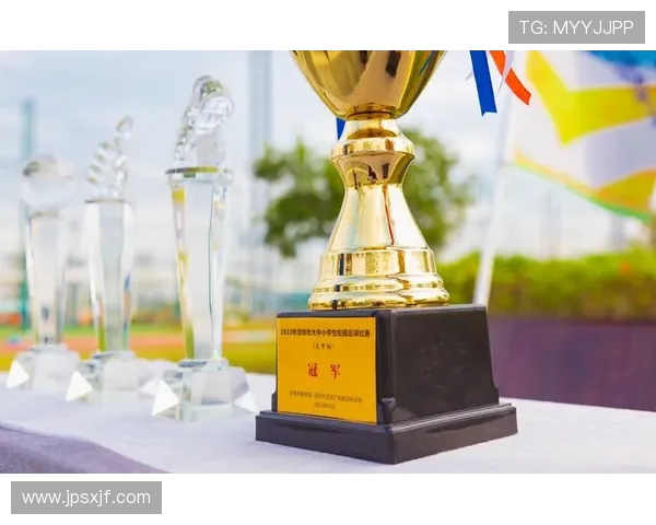 深圳足球队在足球比赛经验排行榜中荣获第九名的荣耀成就分析